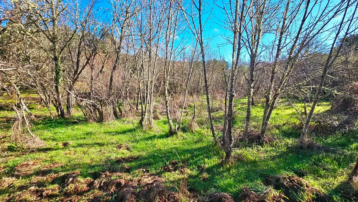 Casa o xalet en venda en Los Marines amb Jardí privat, Terrassa i Traster
