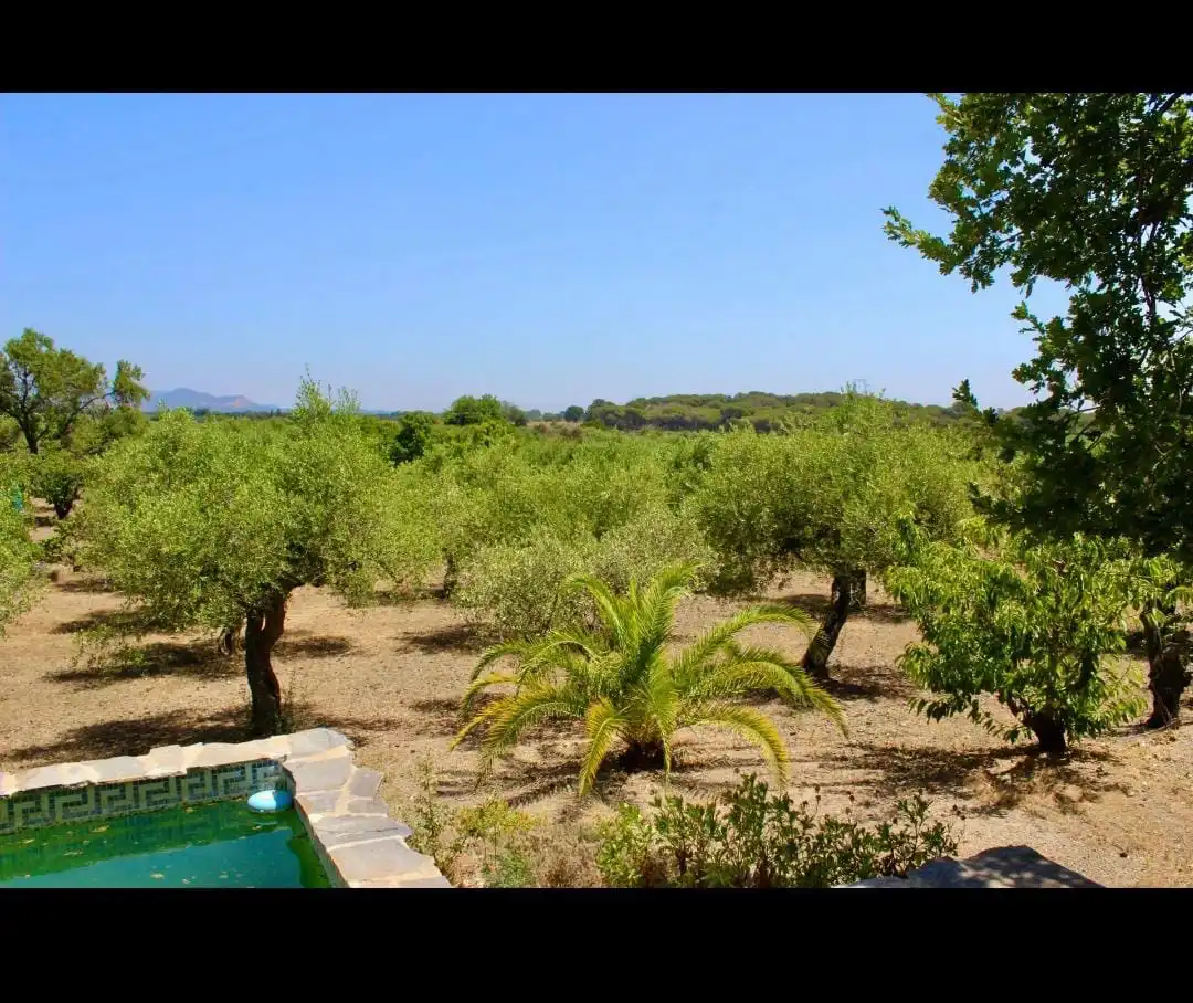 Garten von Grundstücke zum Verkauf in Botarell