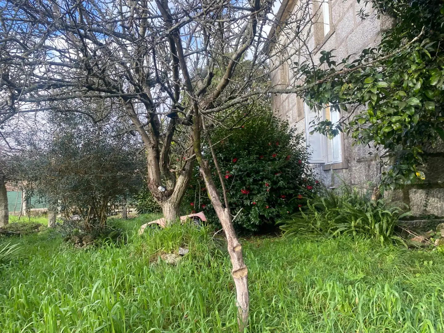 Casa o chalet en venta en Caldas de Reis con Jardín privado
