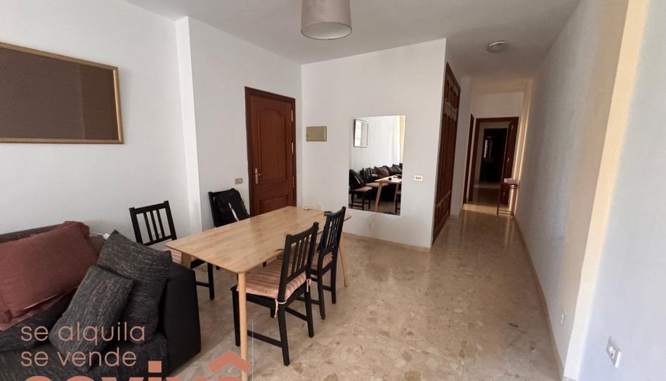 Photo 1 of Flat to rent in Salamanca - Uruguay, Santa Cruz de Tenerife