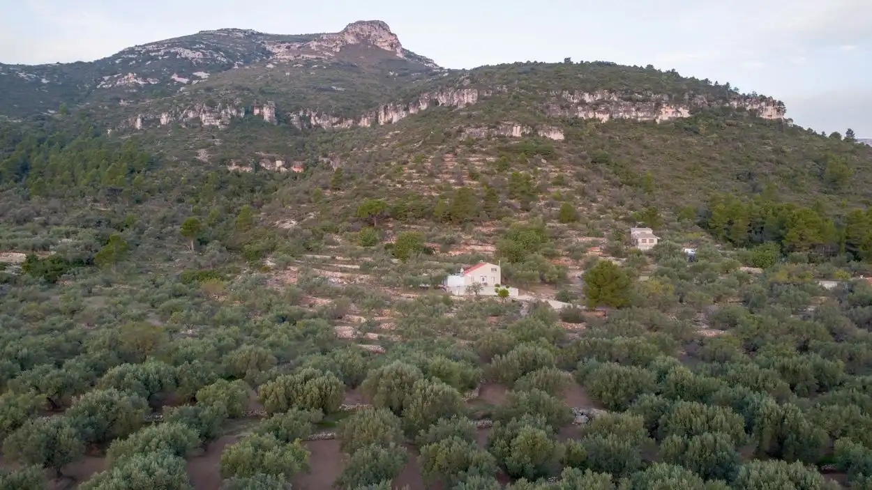 Finca rústica en venta en Mas de Barberans con Terraza y Trastero