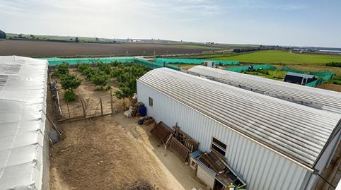 Foto 2 de Finca rústica en venta en La Jara, Sanlúcar de Barrameda