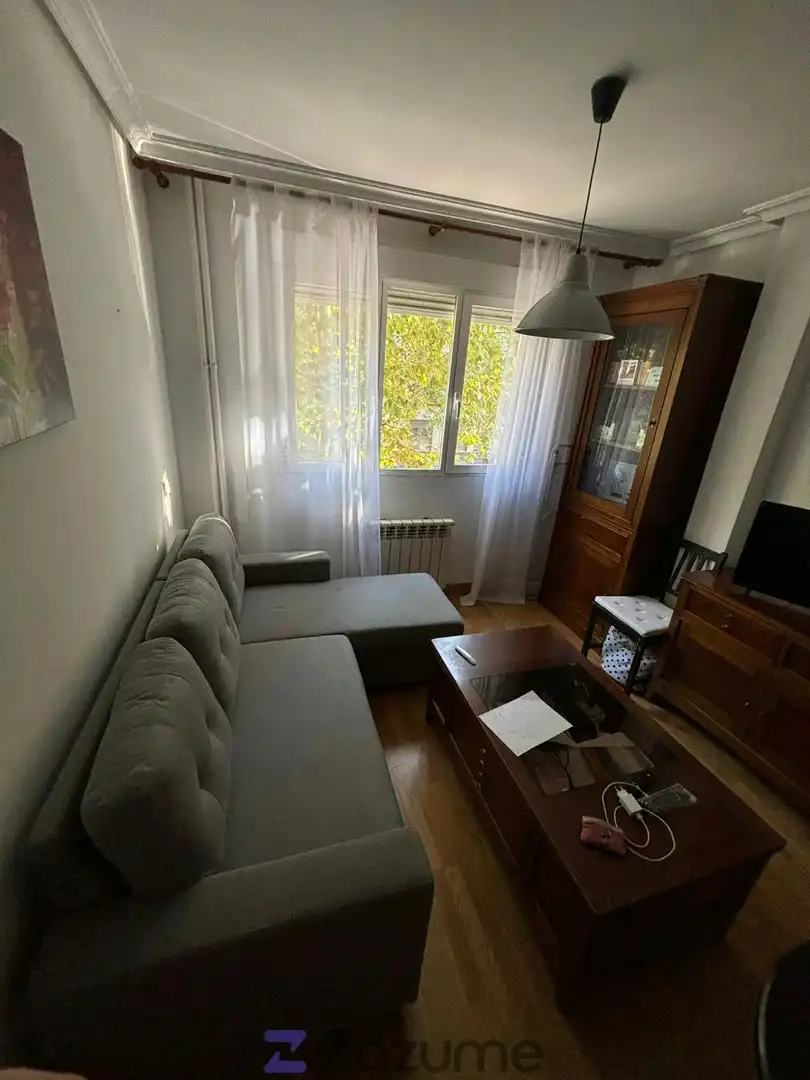 Living room of Apartments for rent in  Madrid Capital  with Heating, Furnished and Washing machine