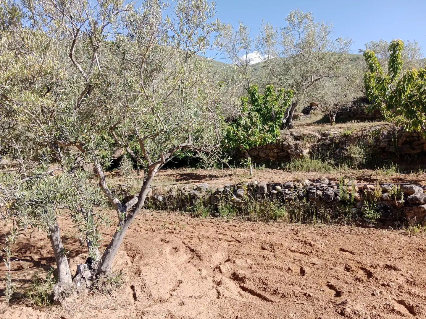 Terreni e lotti in vendita a N/A 0, imagen 31