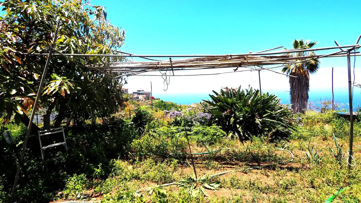 Casa o xalet en venda en La Guancha amb Jardí privat i Moblat