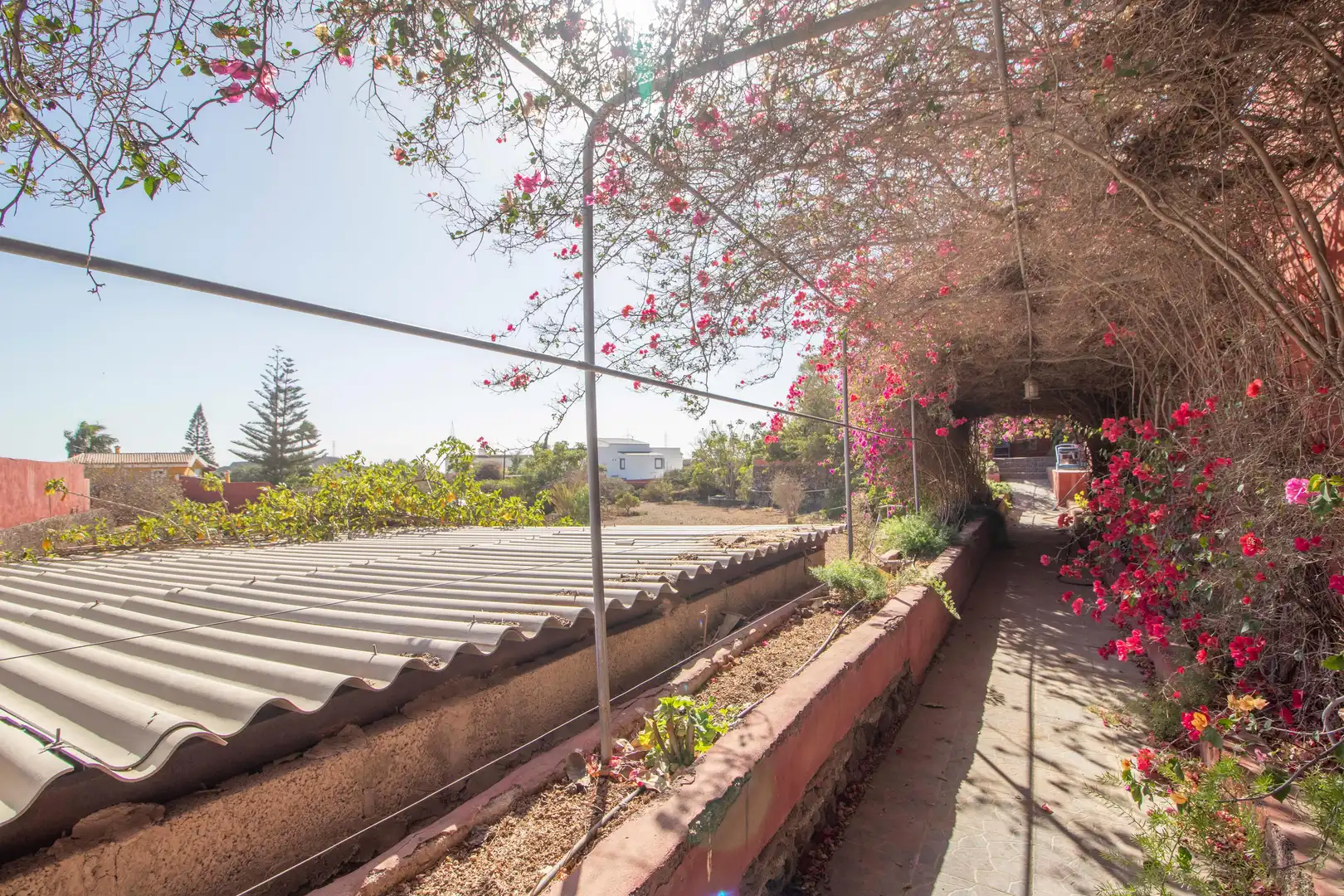 Terrace of Houses for sale in San Miguel de Abona