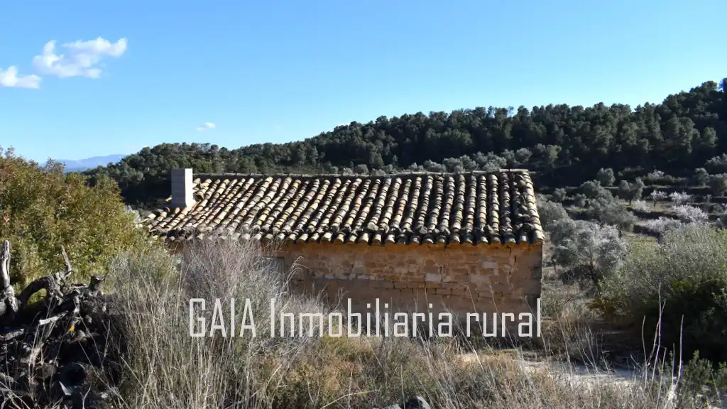 Casa rústica en venda a Maella, imagen 10