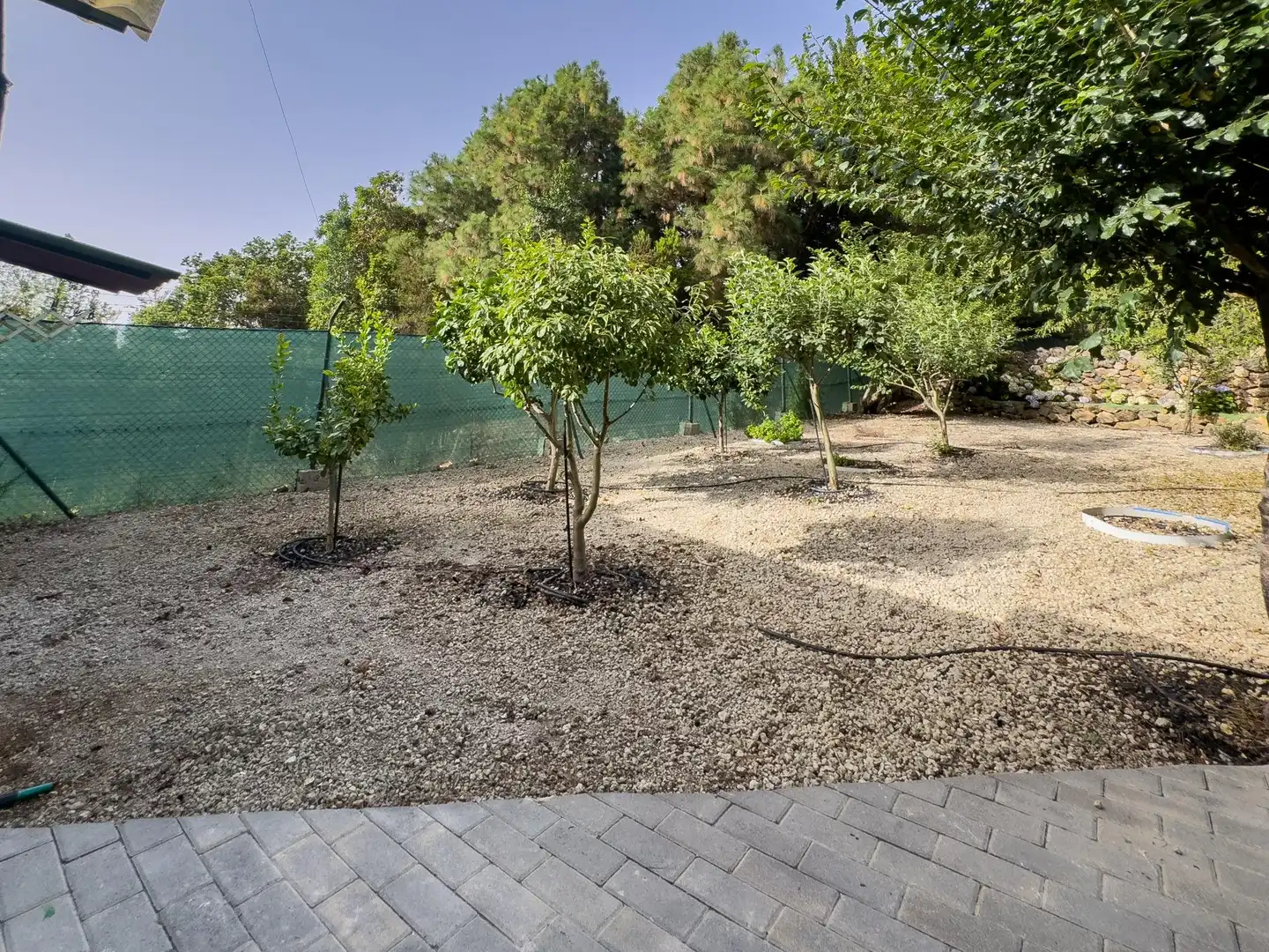 Finca rústica en venda en Icod de los Vinos