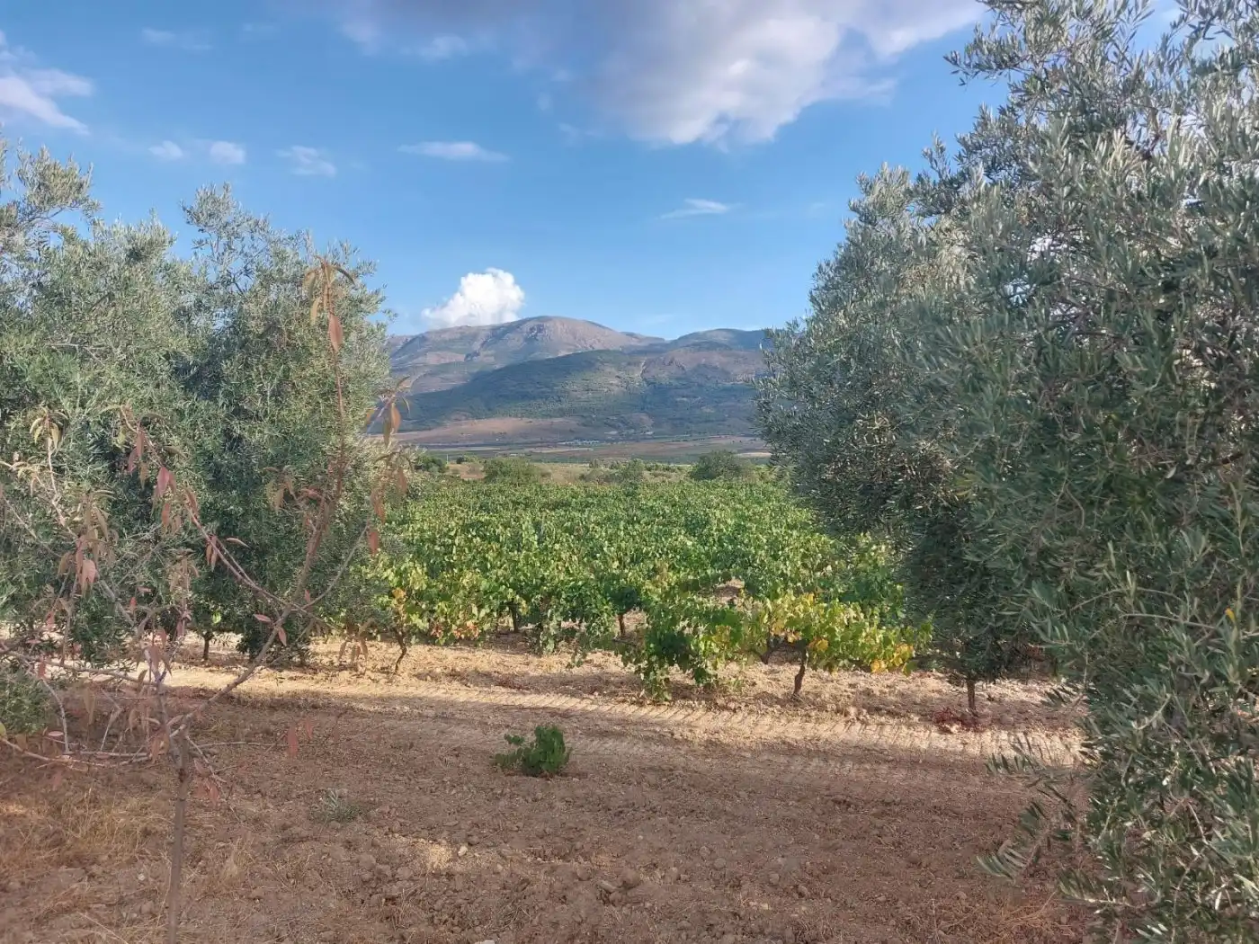 Casa rústica en venda a Laujar de Andarax, imagen 17