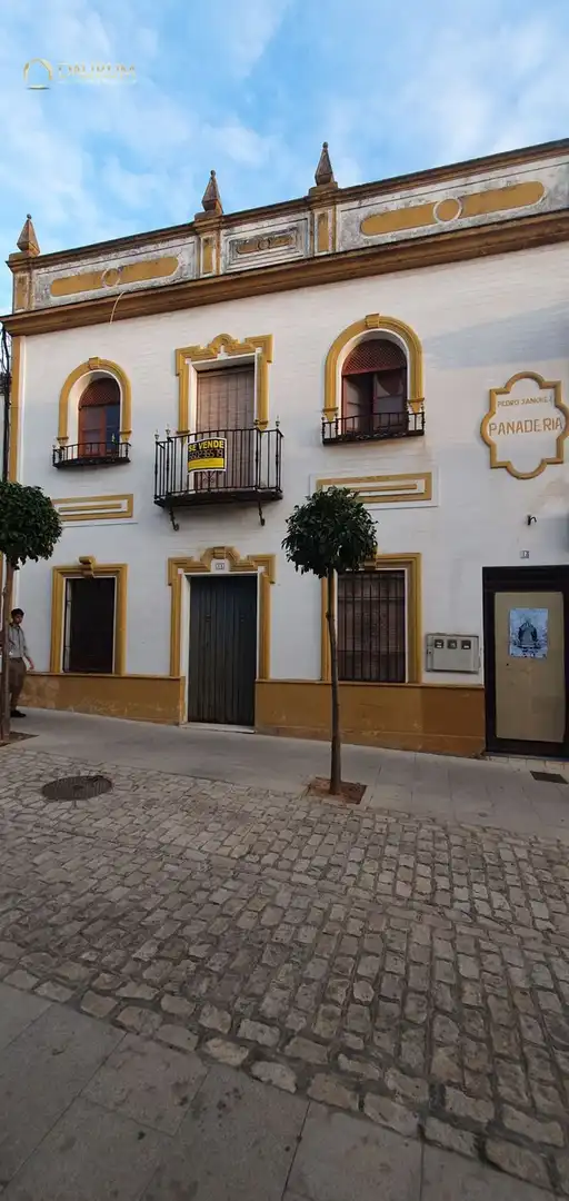 Vista exterior de Casa o chalet en venta en Bormujos con Terraza, Piscina y Piscina comunitaria