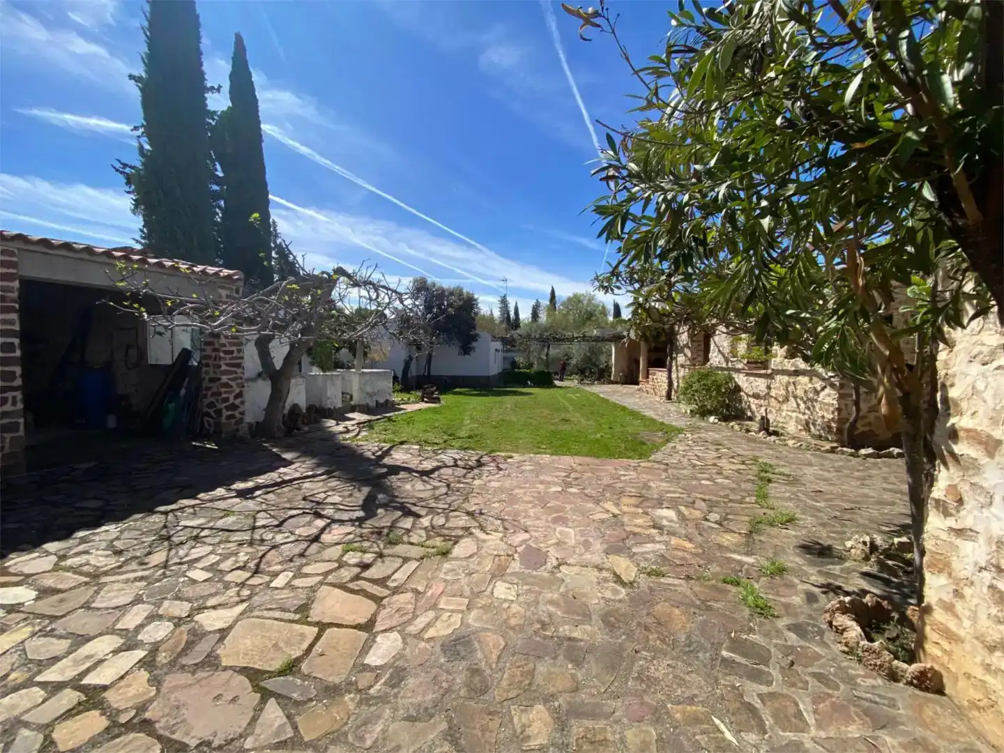 Jardín de Casa o chalet en venta en Viso del Marqués
