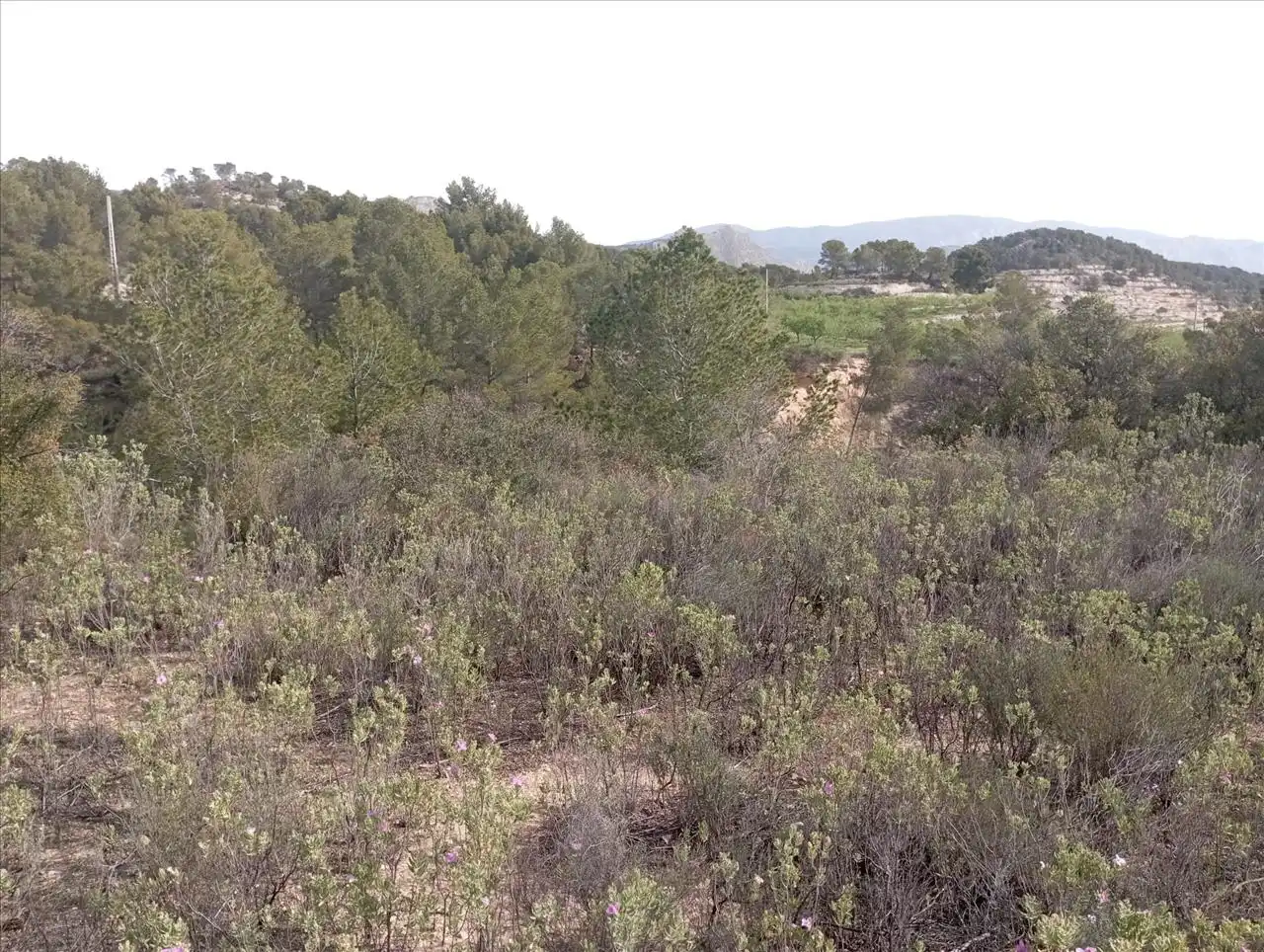 Residencial en venta en Relleu