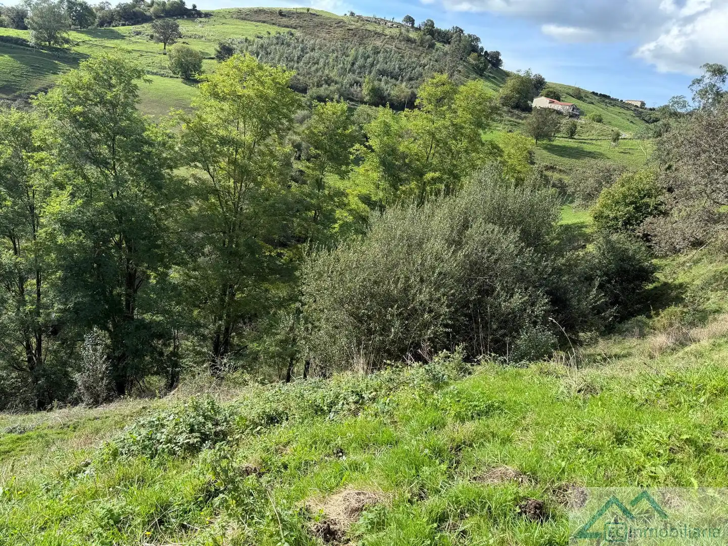 Industrial buildings for sale in Riotuerto