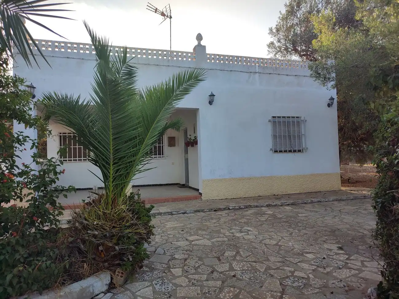 Vista exterior de Casa o chalet en venta en Conil de la Frontera con Aire acondicionado, Terraza y Trastero