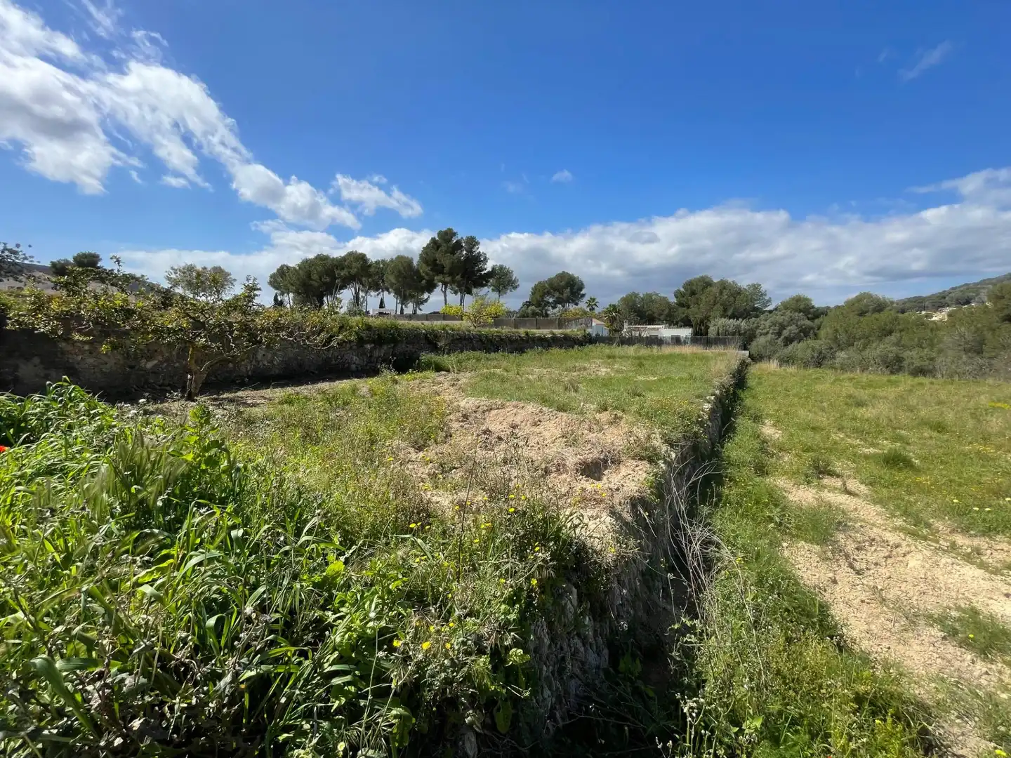Country homes for sale in Cap Martí - El Tossalet - Pinomar
