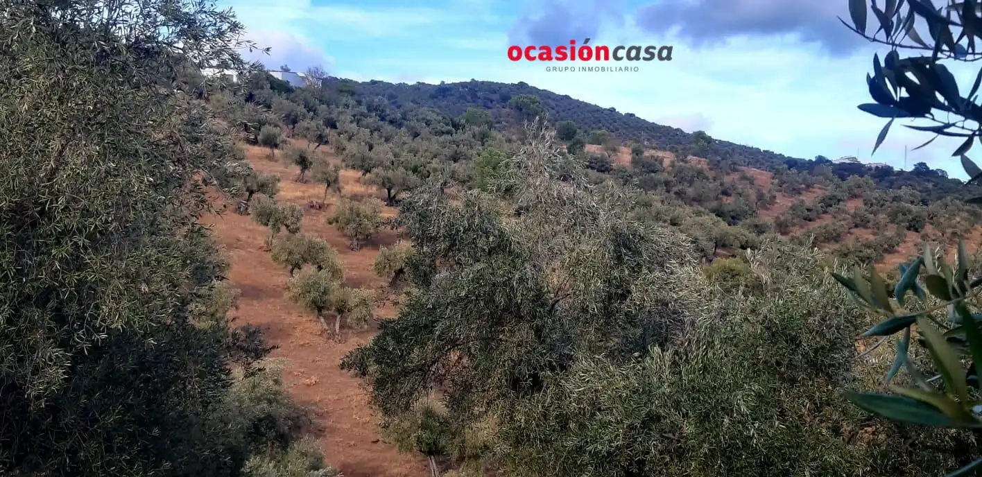 Finca rústica en venta en Pozoblanco