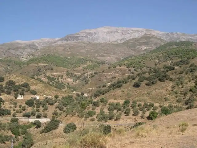 Terreni e lotti in vendita a Sedella