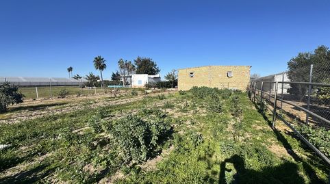 Foto 5 de Terreno en venta en Los Palacios y Villafranca, Sevilla