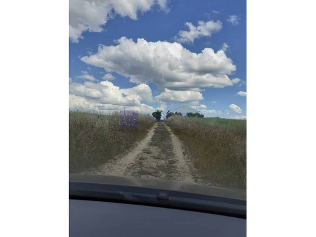 Finca rústica en Venta en Torreorgaz