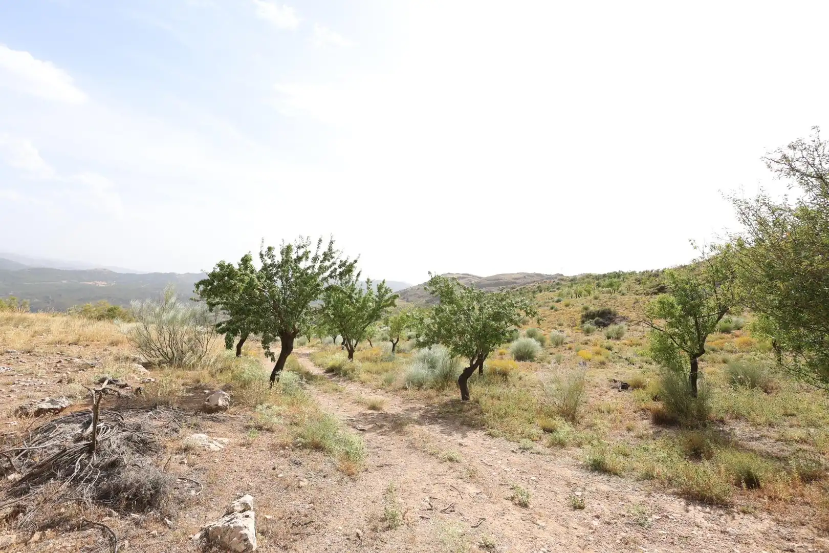 Residencial en venta en Darro