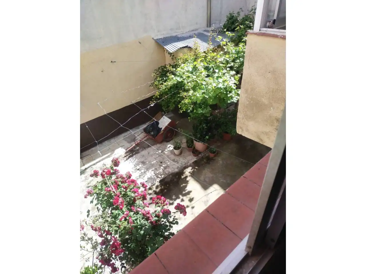 Terraza de Terreno en venta en Daimiel