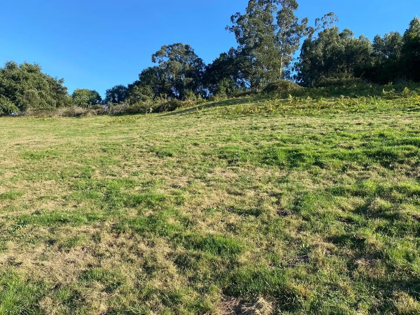 Rural land for sale in Barrio Aes, imagen 22
