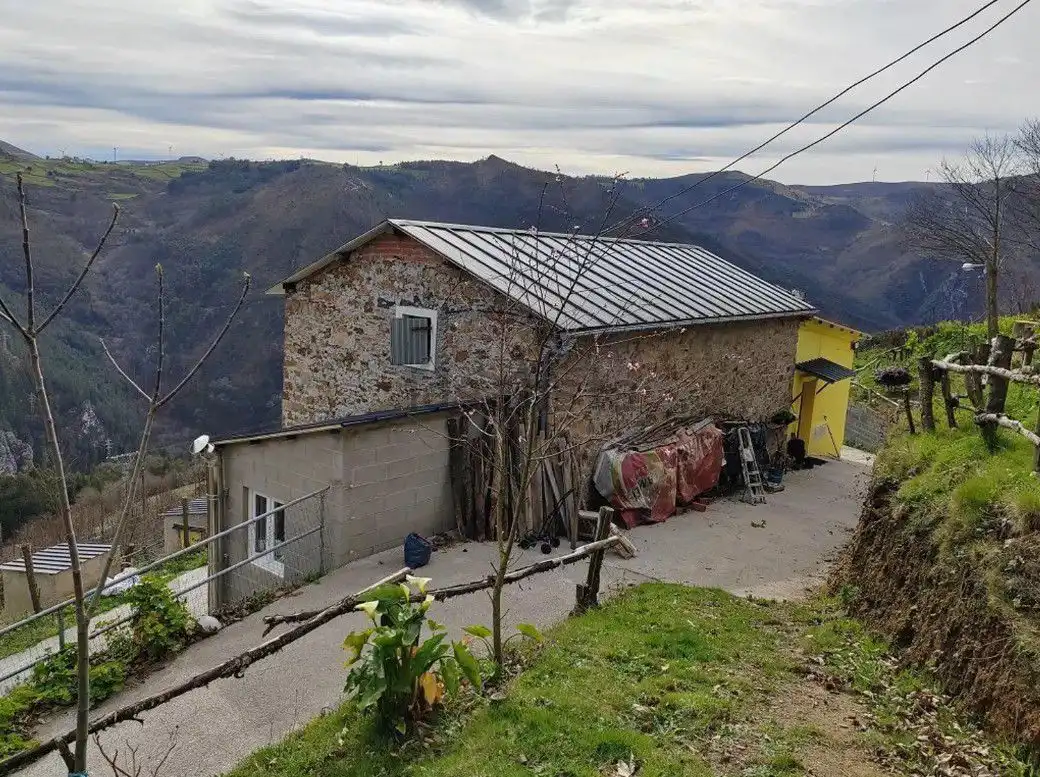 Vista exterior de Casa o xalet en venda en Grandas de Salime