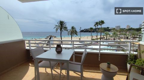 Photo 4 of Room in Magaluf, Calvià