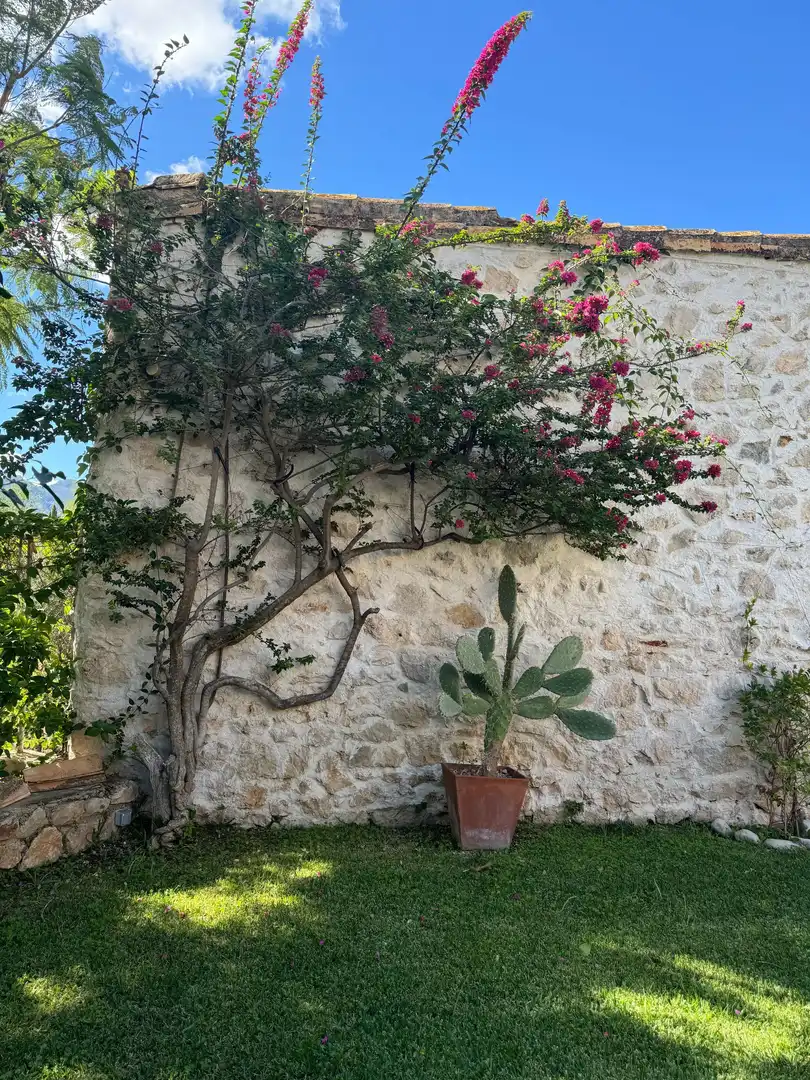 Jardín de Finca rústica en venta en Benimeli con Aire acondicionado, Calefacción y Jardín privado
