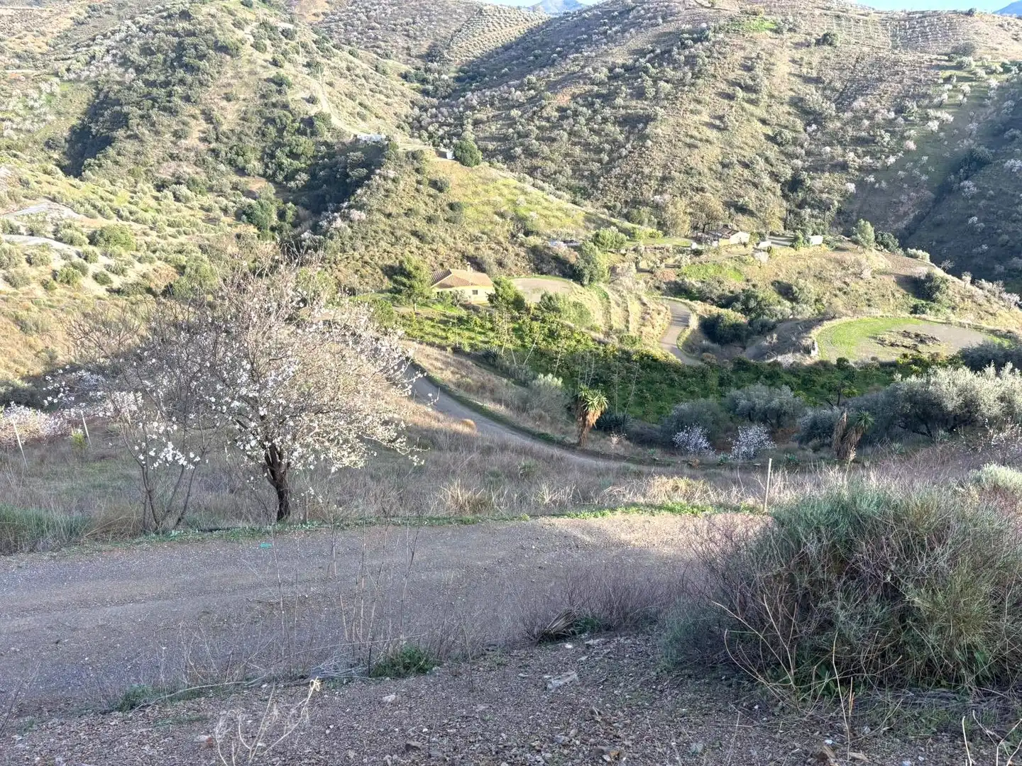 Finca rústica en venda en Sedella amb Jardí privat, Terrassa i Traster