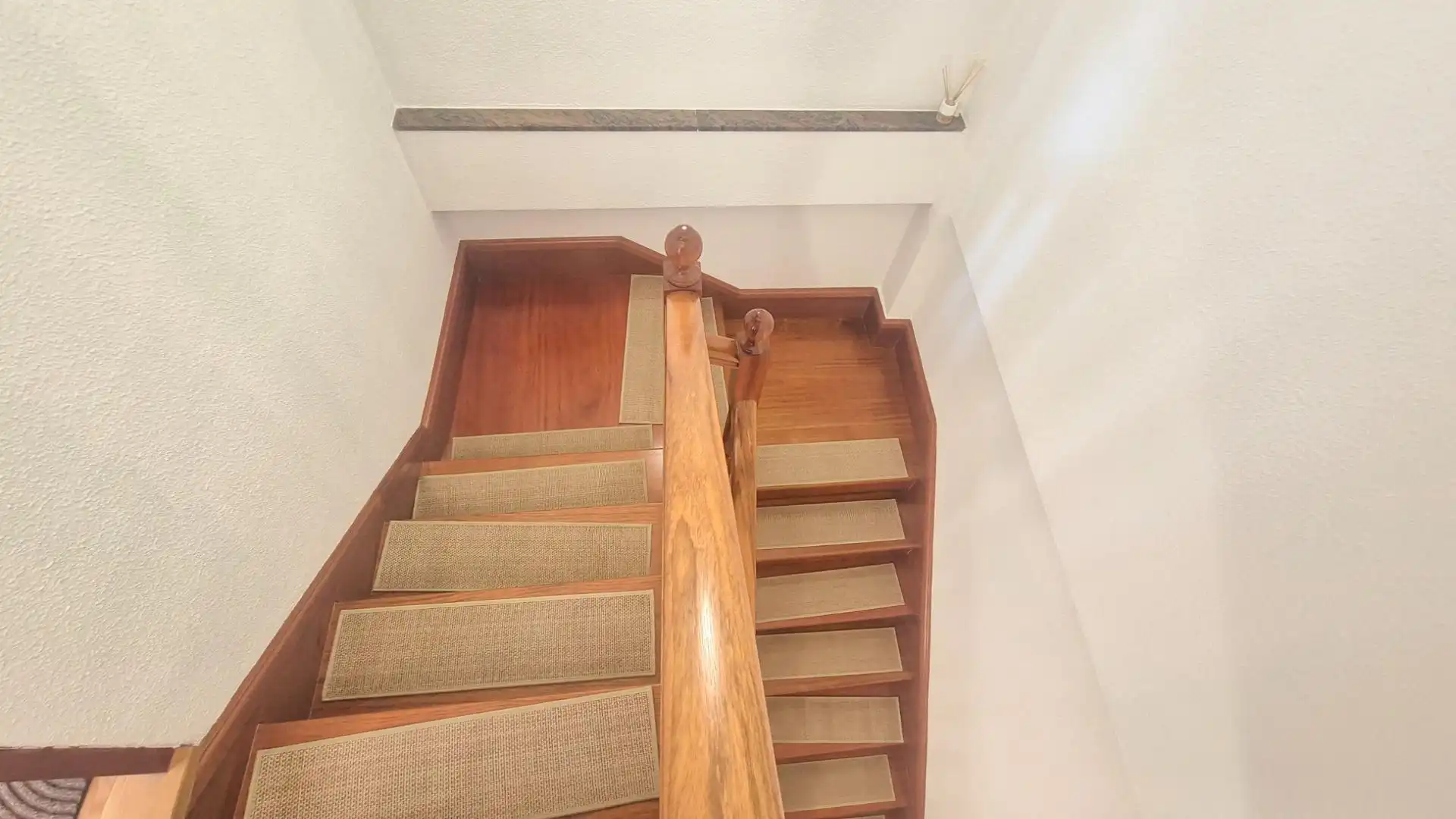 Houses for rent in Centro