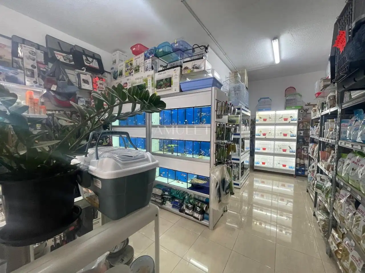Locale commerciale in cessione a Playa de San Juan, imagen 4