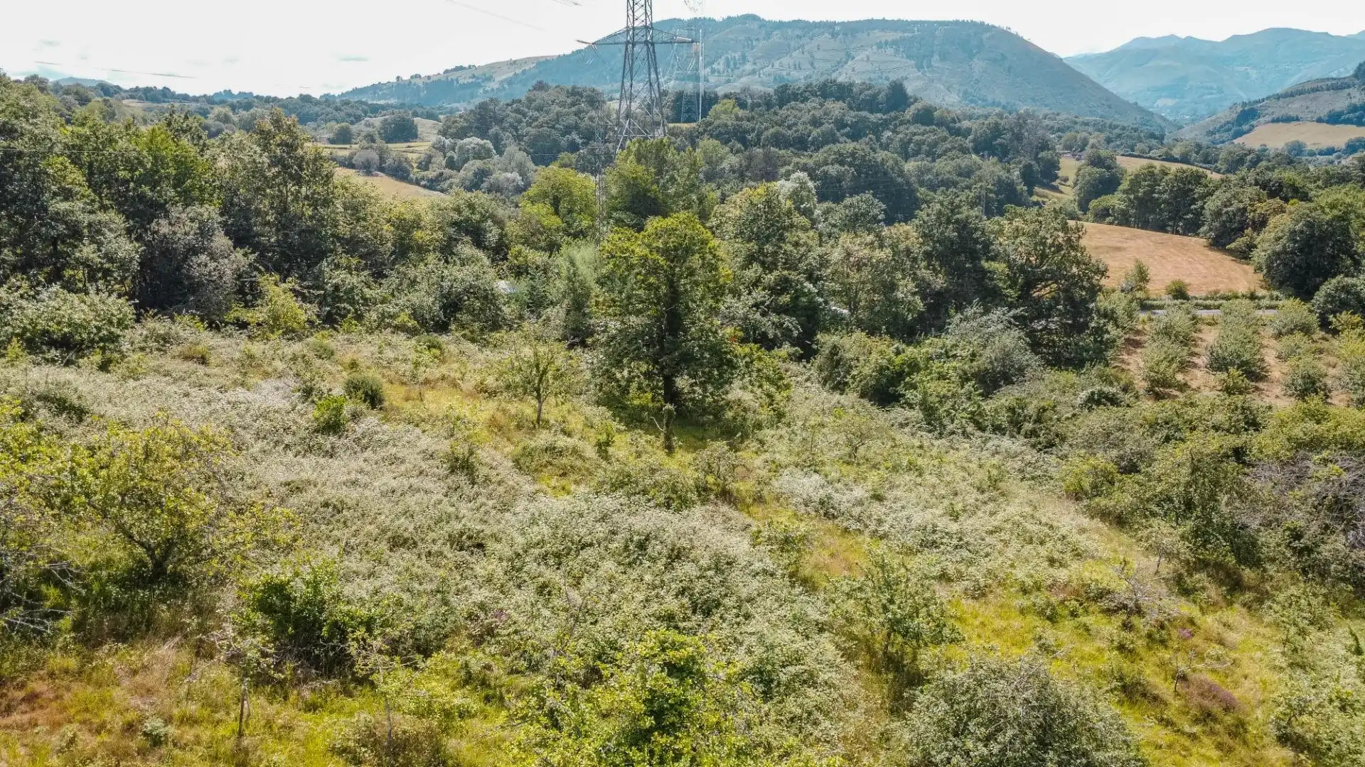Rural land for sale in del pareo, imagen 36