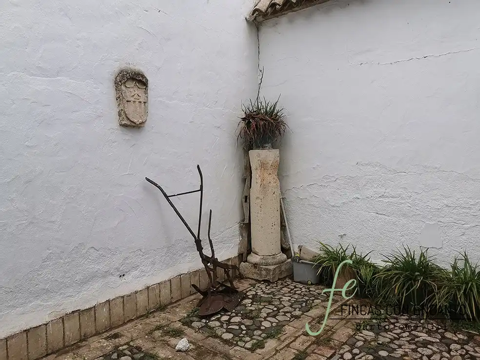 Jardí de Finca rústica en venda en Marchena amb Aire condicionat, Terrassa i Piscina