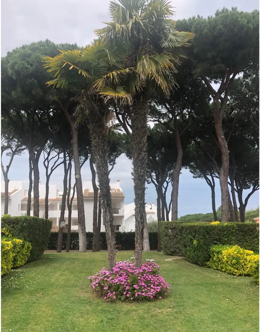 Garden of Apartments for rent in Pals  with Heating, Terrace and Furnished