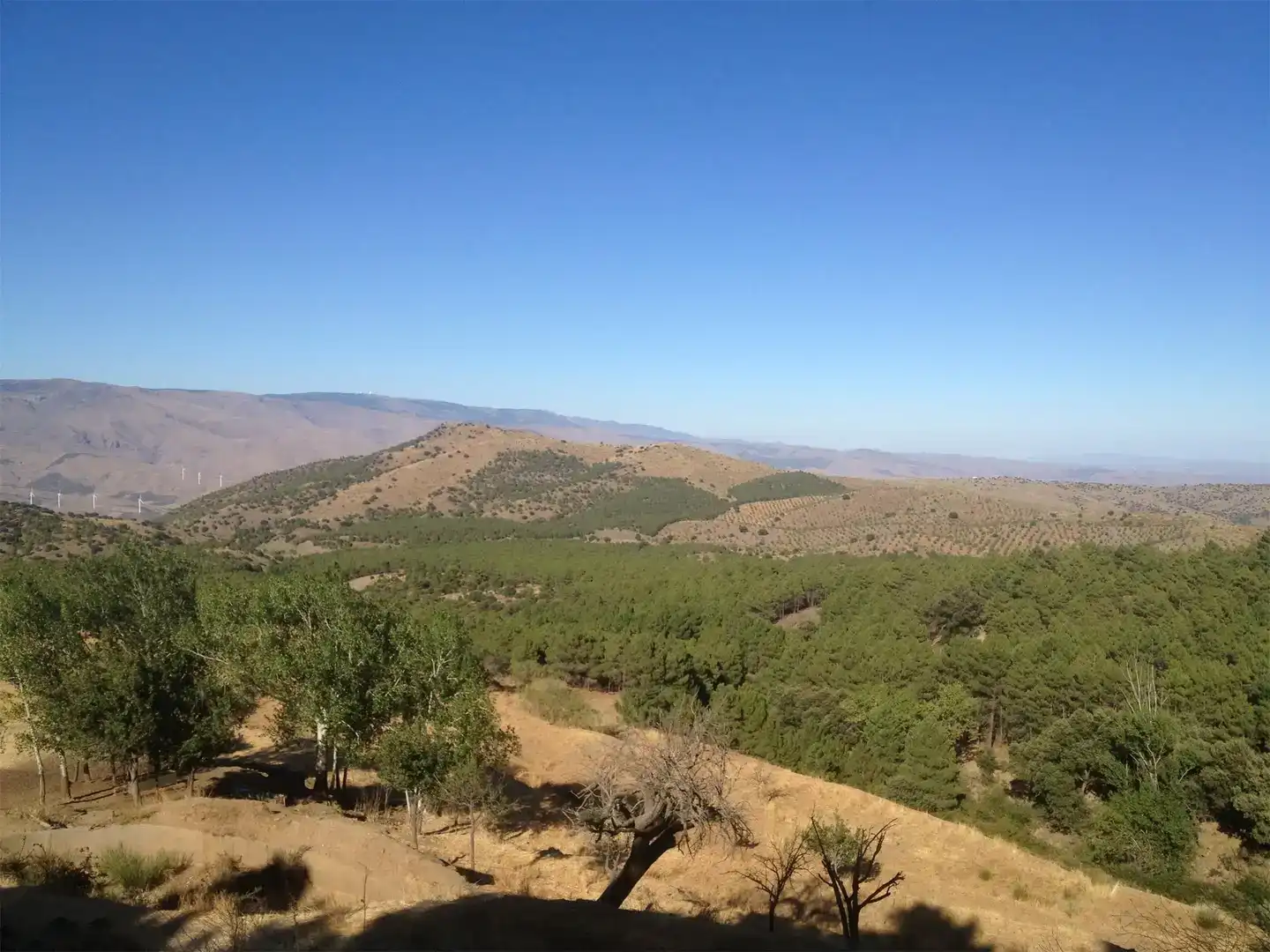 Piso en venta en Ohanes