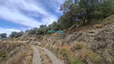 TERRENO RUSTICO 10.600 m2 con Bonitas Vistas  NERJA  RIO DE LA MIEL, CAÑUELO