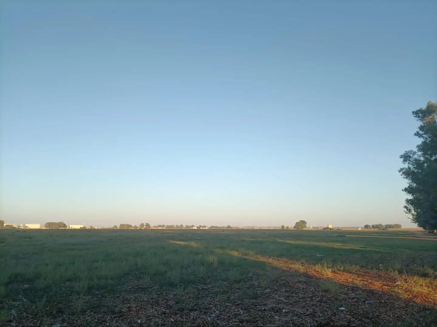 Terreno residenziale in vendita a Este - Alcosa- Torreblanca, imagen 2