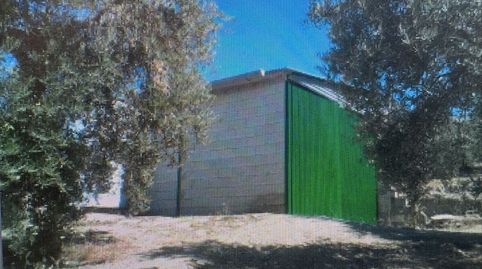 FINCA EN VENTA, immagine 2