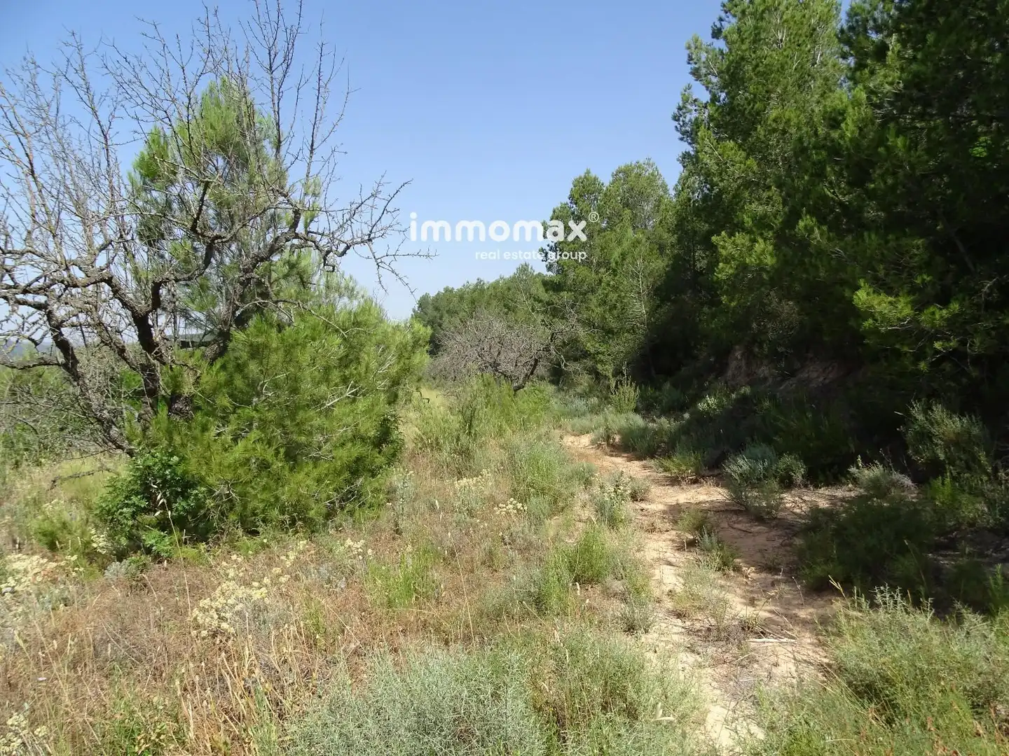 Residential for sale in Caseres