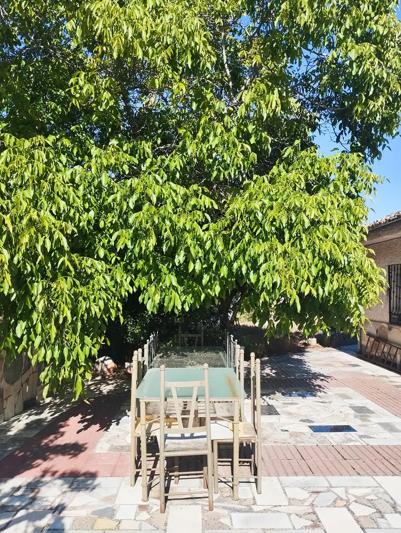 House for sale in Paseo de la estación, imagen 14