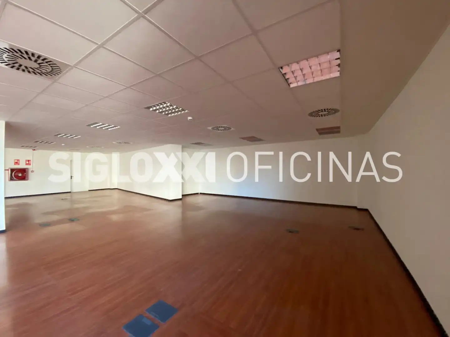Oficina de lloguer a PLOM, imagen 38