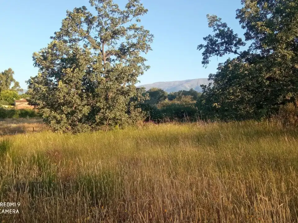 Terreno en venta en Robledillo de la Vera