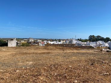 Terreno residenziale in vendita a Calle Picual