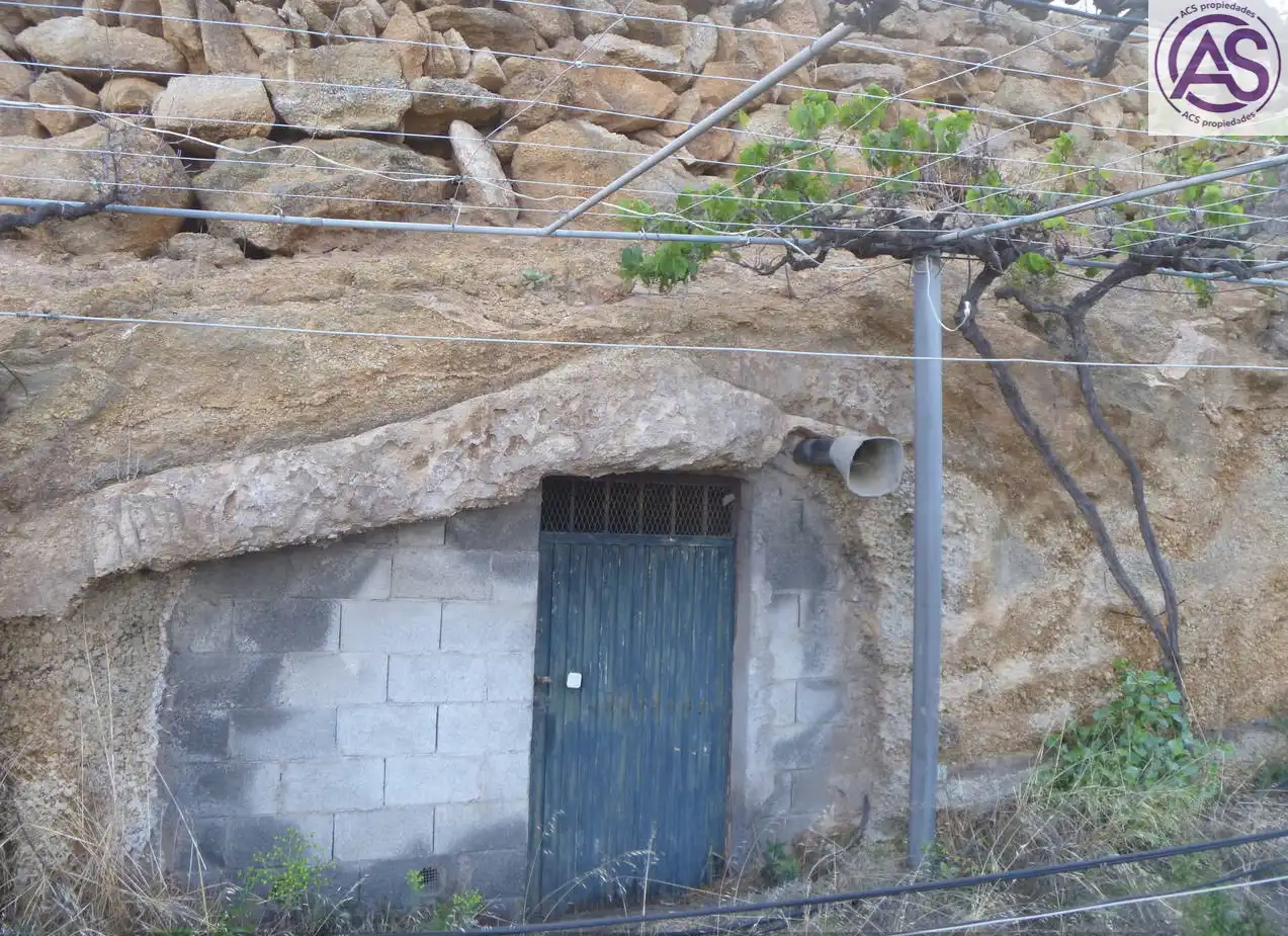 Vista exterior de Finca rústica en venta en Fasnia
