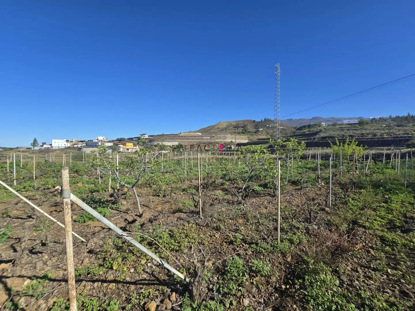 Terreno rústico en venta en Vilaflor de Chasna, imagen 11