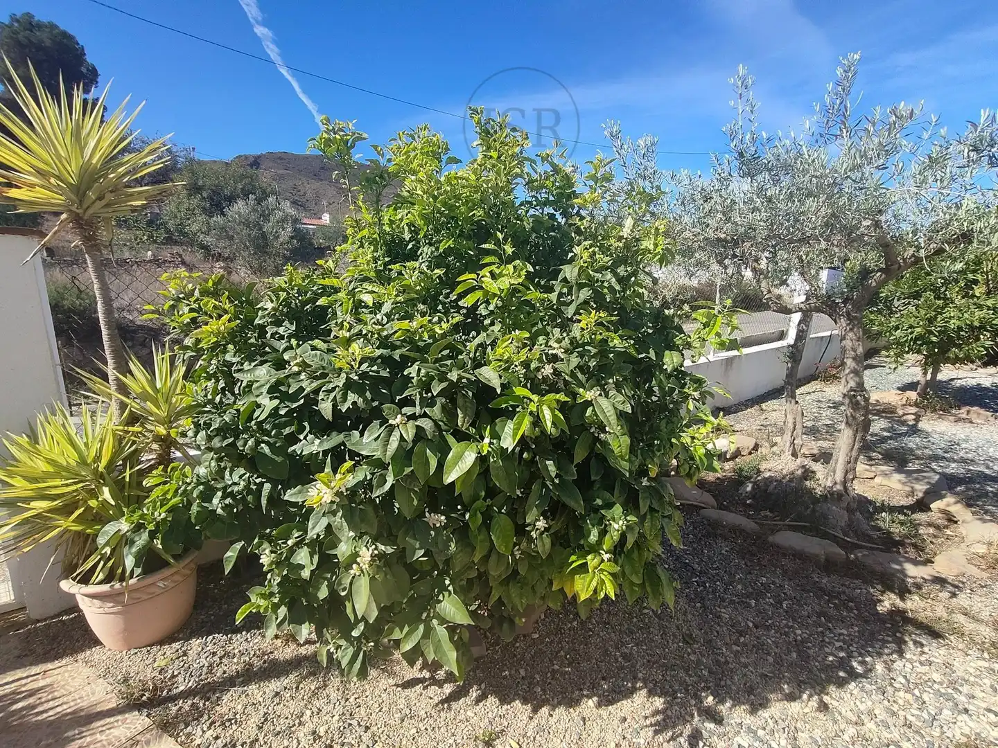 Casa o xalet en venda en Sorbas amb Aire condicionat, Calefacció i Terrassa