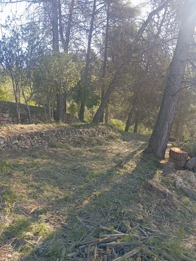 Residencial en venta en Pallejà