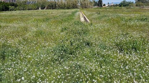Parcela rústica de 1.600 m² - a 2 minutos del Club Cordillera, imatge 5