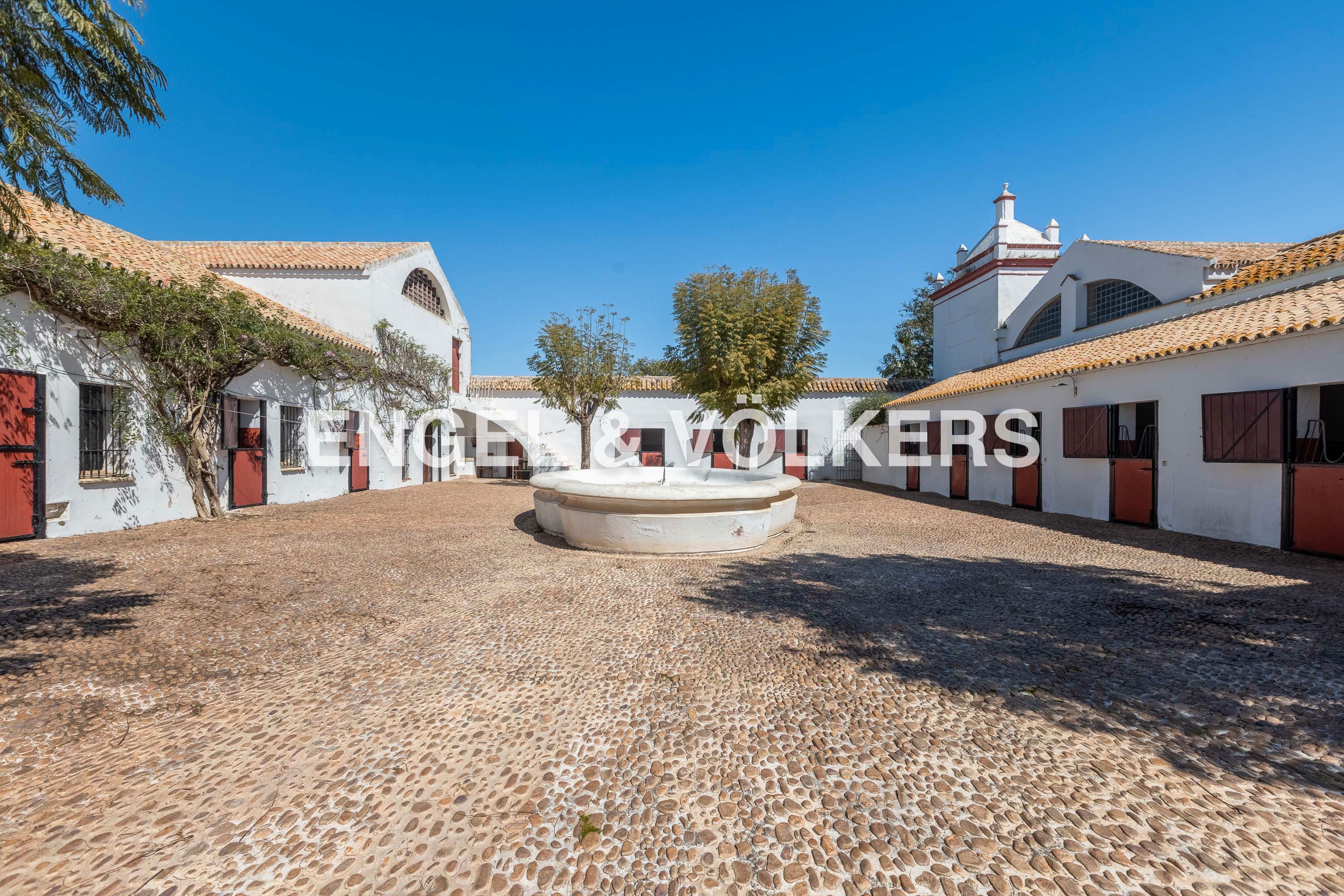 Vista exterior de Finca rústica en venda en Carmona amb Aire condicionat, Calefacció i Jardí privat